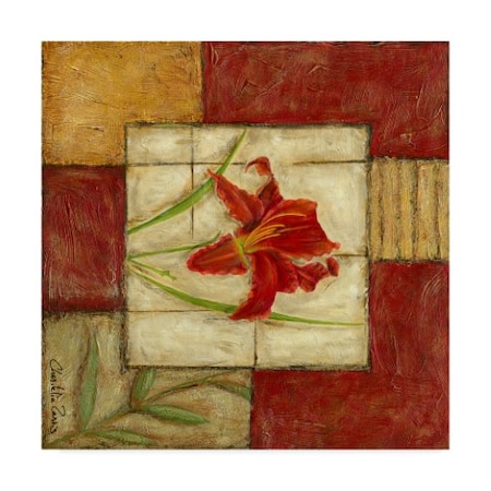 Chariklia Zarris 'Flower Montage Iii' Canvas Art,14x14